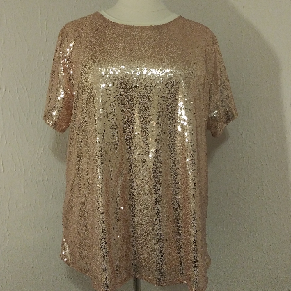 Southern Stitch Beige Sequined Lined Top
